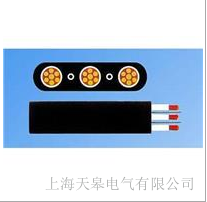 天皋電氣鋼絲扁電纜YB