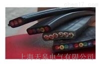 天皋電氣扁電纜、扁平電纜廠商