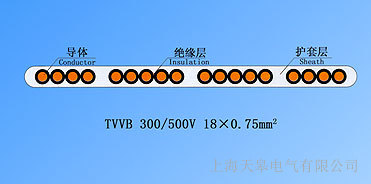 天皋電氣供應(yīng)單芯排列帶屏蔽扁形電梯電纜